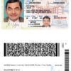 Fake USA Delaware Driver License Template | PSD Layer-Based