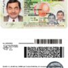 Fake USA Georgia Driver License Template (2017-2019) | PSD Layer-Based