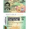Fake USA Georgia Driver License Template (2019 – present) | PSD Layer-Based