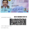 Fake USA Idaho Driver License Template | PSD Layer-Based