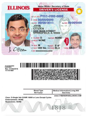 Fake USA Illinois Driver License Template | PSD Layer-Based
