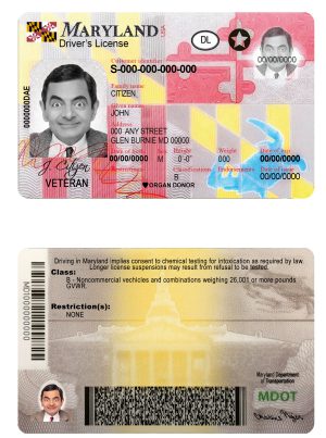 Fake USA Maryland Driver License Template | PSD Layer-Based