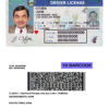 Fake USA Nevada Driver License Template | PSD Layer-Based
