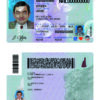 Fake USA New Hampshire Driver License Template | PSD Layer-Based