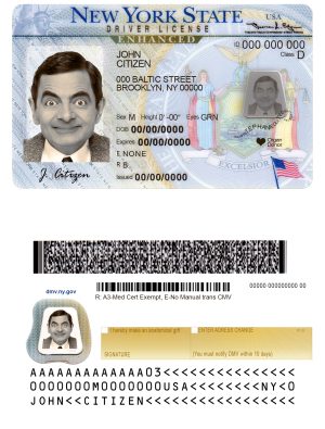 Fake USA New York Driver License Template | PSD Layer-Based
