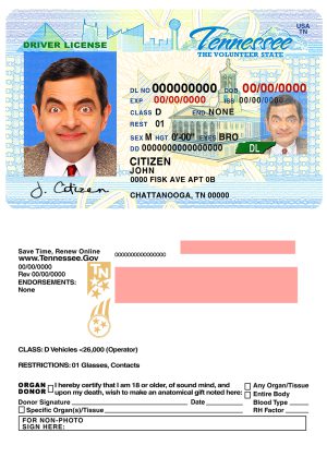 Fake USA Tennessee Driver License Template