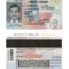 Fake USA Texas Driver License Template | PSD Layer (2020 – present)
