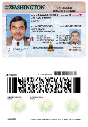 Fake USA Washington Driver License Template
