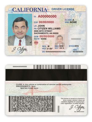 Fake USA state California Driver License Template