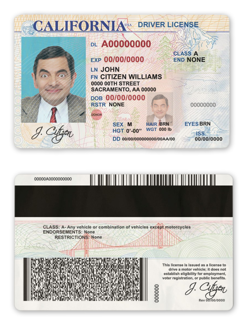 Fake USA state California Driver License Template | PSD Layer-Based