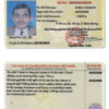 Fake Vietnam Driver License Template | PSD Layer-Based