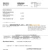 USA Fedex invoice template in Word and PDF format, fully editable