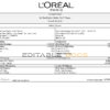 France Loreal Paris cosmetic distributing company pay stub Word and PDF template