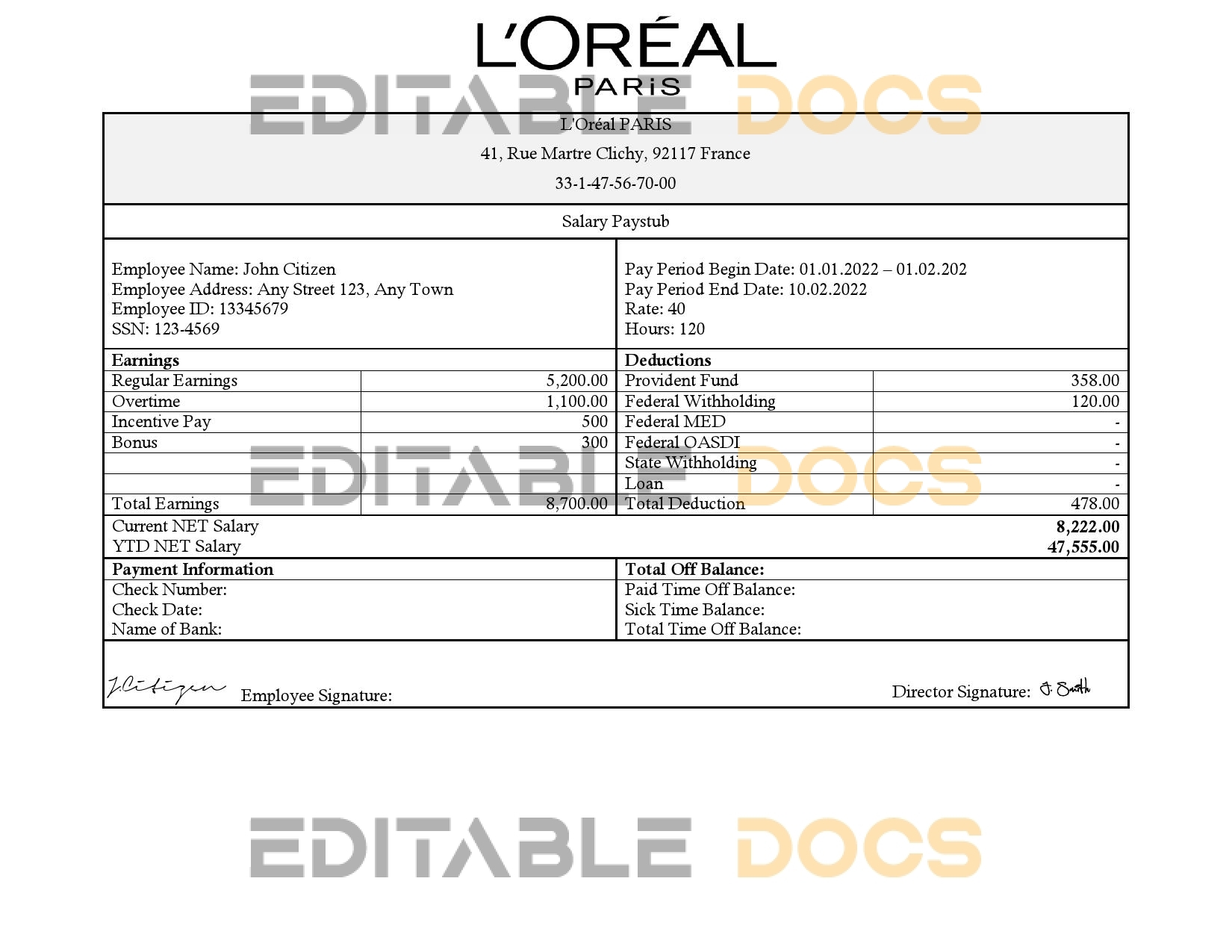 France Loreal Paris cosmetic distributing company pay stub Word and PDF template