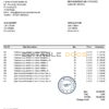 Germany Hardcore Merchandise invoice template in Excel and PDF format
