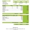 India Biz2Credit Inc. consumer lending company pay stub Word and PDF template