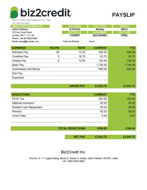 India Editable Docs 11 India Biz2Credit Inc. consumer lending company pay stub Word and PDF template