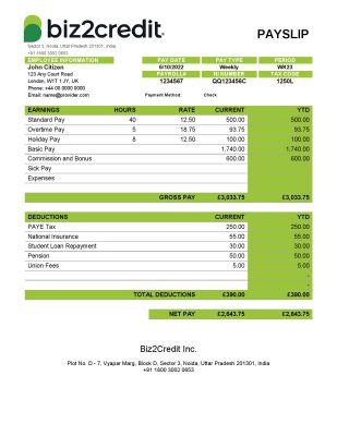 India Biz2Credit Inc. consumer lending company pay stub Word and PDF template