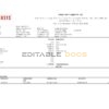 India Sensys technologies Pvt IT technologies pay stub Word and PDF template