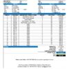 USA Intel invoice template in Word and PDF format, fully editable