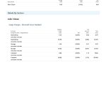 Ireland Microsoft Ireland Operations Limited invoice Word and PDF template, 2 pages