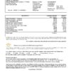 Singapore KK Women’s and Children’s Hospital tax invoice template in .doc and .pdf format