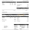 United Kingdom Kanopi Contract Services payroll company pay stub Word and PDF template