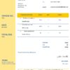 USA LIC invoice template in Word and PDF format, fully editable