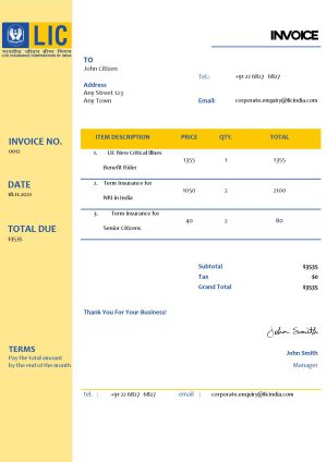 USA LIC invoice template in Word and PDF format, fully editable
