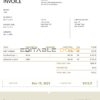 USA Louis Vuitton invoice template in Word and PDF format, fully editable