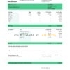 USA MicroVision informational company pay stub Word and PDF template