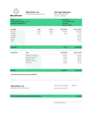 USA MicroVision informational company pay stub Word and PDF template
