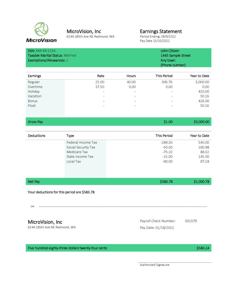 USA MicroVision informational company pay stub Word and PDF template