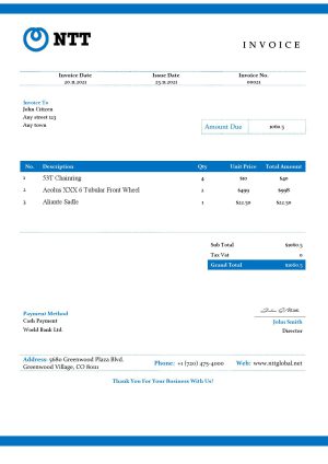 USA NTT invoice template in Word and PDF format, fully editable