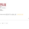 USA Netflix invoice template in Word and PDF format, fully editable