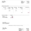 USA Oracle invoice template in Word and PDF format, fully editable