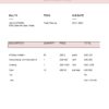 USA Party Planner invoice template in Word and PDF format, fully editable