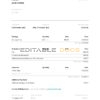 USA PayHero financial company pay stub Word and PDF template