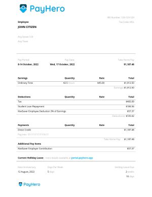 USA Editable Templates 8 USA PayHero financial company pay stub Word and PDF template