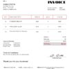 USA Pinduoduo invoice template in Word and PDF format, fully editable