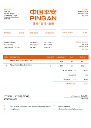 USA Ping An invoice template in Word and PDF (.doc and .pdf) format
