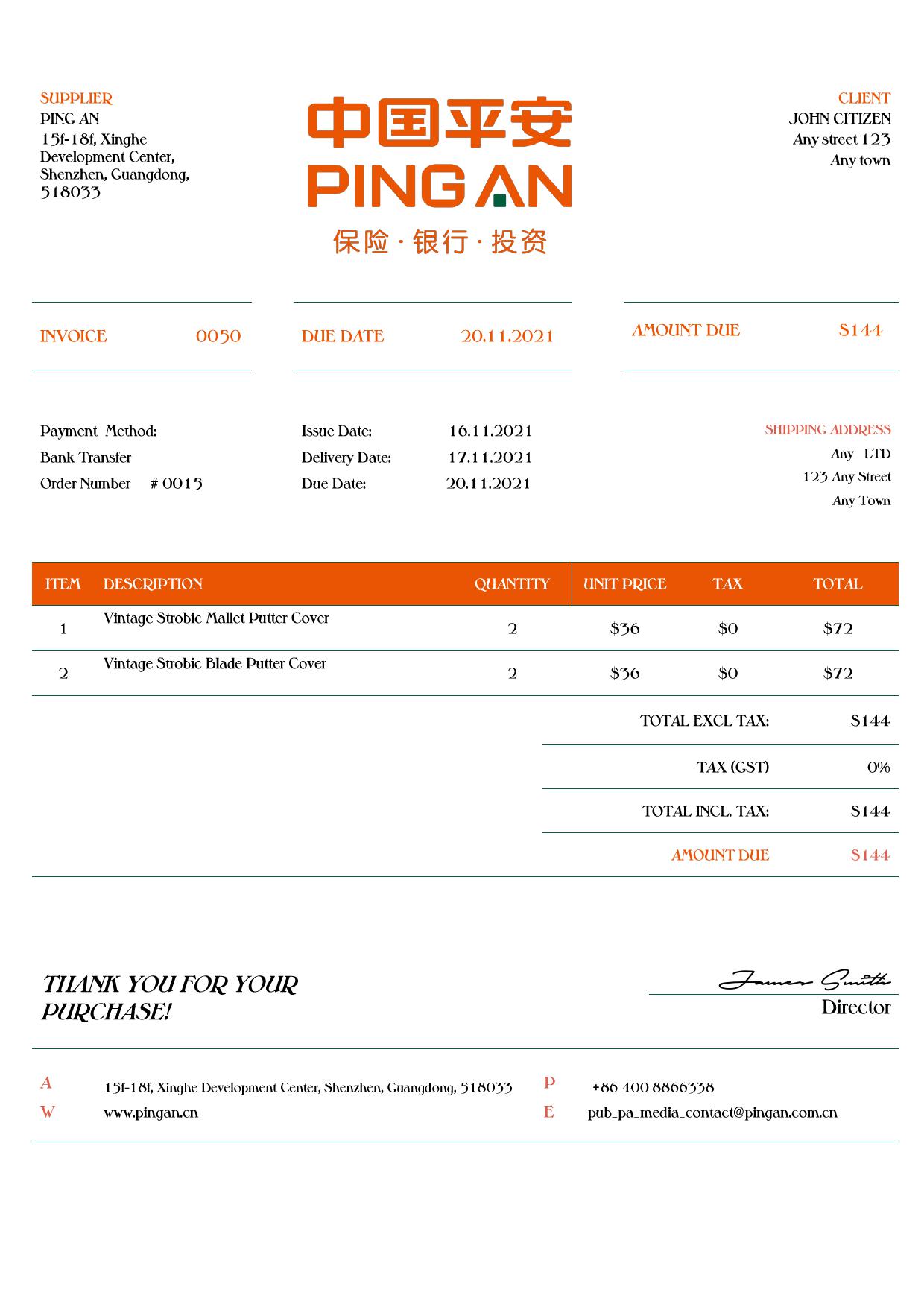 USA Ping An invoice template in Word and PDF (.doc and .pdf) format