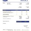 USA RBC invoice template in Word and PDF format, fully editable