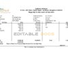 India Sadhana infotech pharmaceutical company pay stub Word and PDF template