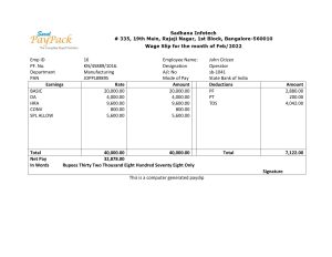 India Editable Docs 14 India Sadhana infotech pharmaceutical company pay stub Word and PDF template