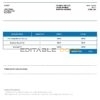 USA Spectrum invoice template in Word and PDF format, fully editable