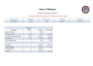 USA Editable Templates 13 USA State of Michigan social services company pay stub Word and PDF template