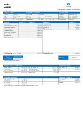 USA Tata Consulting Services invoice template in Word and PDF format, fully editable