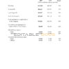 USA Tencent invoice template in Word and PDF format, fully editable