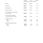 USA Tencent invoice template in Word and PDF format, fully editable